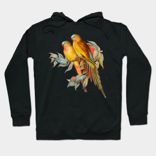 Princess of Wales Parakeet Vintage Illustration Hoodie